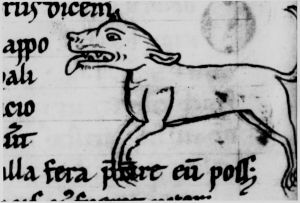 Hyginus p.19v - 12th century