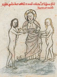 Wissenschaftliche Stadtbibliothek - II 10, fol. 1v - 15th century (middle)