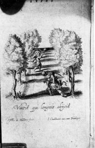 Mallery, Philip de - 1636