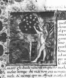 Biblioteca Nacional de España - MS 10071, fol. 34v - 15th century