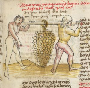 Universitätsbibliothek - germ. qu. 100, fol. 30r - 15th century (third quarter)
