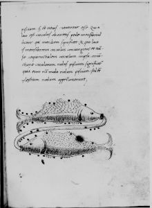 Hyginus p.26r - 15th century