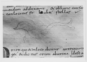 Dombibliothek - 83 II, fol. 164r - 798