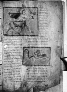 Germanicus Caesar p.66r - 11th century