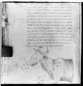 Hyginus p.41v - 15th century