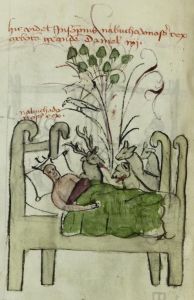Biblioteca Apostolica Vaticana - Pal. lat. 1806, fol. 25v - 1401 (circa)