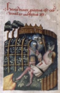 Kanonie sv. Petra a Pavla - 80, fol. 24r - 1415 (circa)
