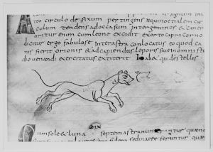 Dombibliothek - 83 II, fol. 167r - 798