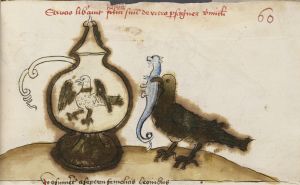Universitätsbibliothek - Cod.I.2.2.24 (Oettingen-Wallersteinsche Bibliothek), fol. 60r - 1456