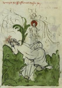 Biblioteca Apostolica Vaticana - Pal. lat. 1806, fol. 5v - 1401 (circa)