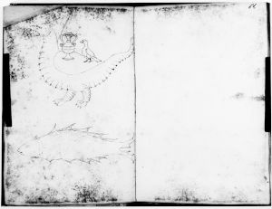 Hyginus p.67v - 15th century