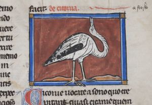Sidney Sussex College - 100, fol. 18r - 1230 (circa)