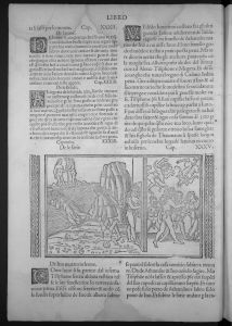 Ovid (Publius Ovidius Naso) p.27v - 1517