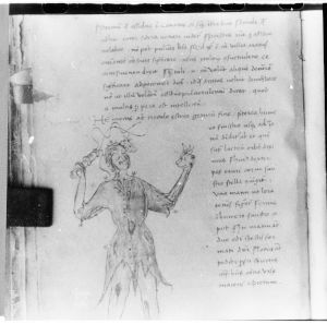 Hyginus p.38v - 15th century