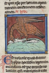 Sidney Sussex College - 100, fol. 25v - 1230 (circa)