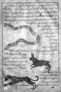 al-Qazwini p.43 - 15th century