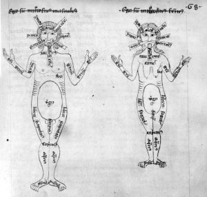 Bibliothek des St Nikolaus-Hospitals - 209, fol. 68r - 14th century