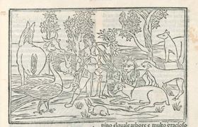 Ovid (Publius Ovidius Naso) p.85r - 1497