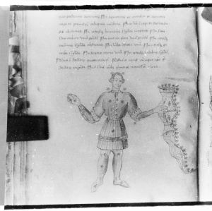 Hyginus p.47v - 15th century