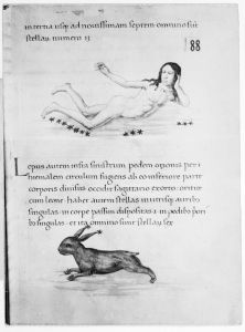Hyginus p.88r - 15th century