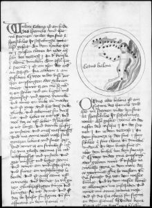Scot, Michael p.123v - 1436